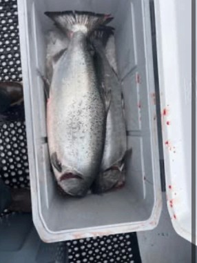 Catch from Berkeley Marina Bait & Tackle
